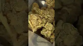 Lemonatti T25 Nugs #1  #UKMedicalCannabis