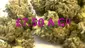 Video Thumbnail: Cannabis is Medicine