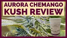 Cannabis is Medicine Video Thumbnail