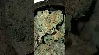 #upstatemedical #medical #medicalcannabis #cannabiseducation