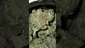 Video Thumbnail: Mary Jane Media 420