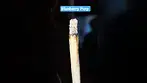 Superseed Blueberry Purp - Ash Test