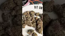 Smokie McGreen Video Thumbnail