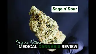 Sage n' Sour | Origine Nature | UK Medical Cannabis Review