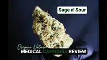 AK87 Reviews Video Thumbnail