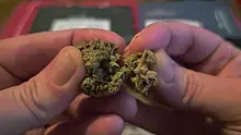 Punkz Emporium Video Thumbnail