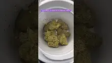 Review Budd Video Thumbnail