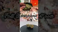 Herb Gaming Video Thumbnail