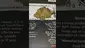 Video Thumbnail: HighStandards420