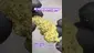 Video Thumbnail: Review Budd