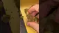 Video Thumbnail: High Jack