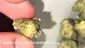 Video Thumbnail: BabyzBudz