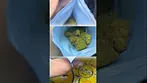 Cookies - Hollywood  | full Review incoming  #cookies #ukmedicalcannabis