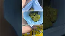 Herb Gaming Video Thumbnail