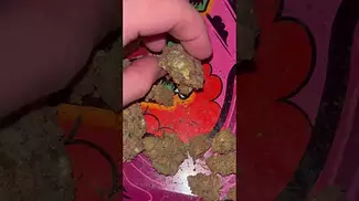 Sundaze Frosted Cookies Flower #sundaze #frostedcookies #ukmedicalcannabis