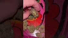 St0nerLukas Video Thumbnail