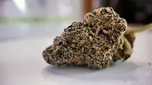 med canna diaries Video Thumbnail
