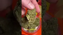 Doc Green Bud Video Thumbnail