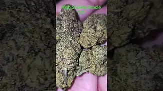Dalgety- High Society Oracle T25 - (BISCOTTI X JET FUEL GELATO) 3rd batch amazing once again! Tasty!