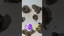 UKTHC Video Thumbnail