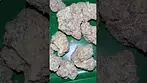 4c labs beach wedding uk medical #uk #medical #patient #youtubeshorts