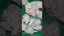 Bajan Video Thumbnail