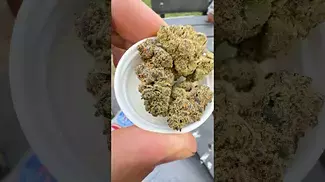 Death Bubba by 4C LABS (UK Medical) #medicalcannabisuk #medicalcannabis #cannabiscommunity
