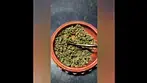 Halle Berry 25%THC by Kasa Verde... medical prescription cannabis.