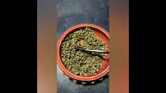 Halle Berry 25%THC by Kasa Verde... medical prescription cannabis.