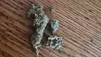 All Nations MD T22 MAC DADDY UK medical cannabis review