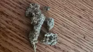 All Nations MD T22 MAC DADDY UK medical cannabis review