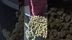 4C Labs Value SCK-S Smalls T22 Strawberry Cake Medical Cannabis Flower
