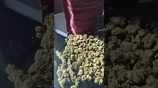 4C Labs Value SCK-S Smalls T22 Strawberry Cake Medical Cannabis Flower