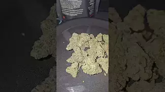 Cali X | Biscoff | UK Medical Flower | First Look 