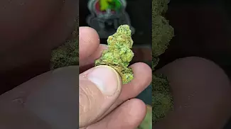 Cap Junky 27%THC...non irradiated