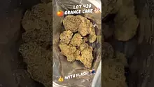 Medicated Mate Video Thumbnail