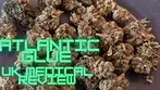 Therismos Craft ATG T29 - Atlantic Glue or GG#4 - UK Medical Review