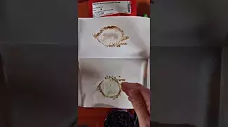 TROPICANA GOLD | Sundial, HYTN, 4C Labs & Xeal Pharma | PRESS TEST