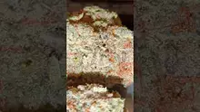 MedCannaBliss Video Thumbnail