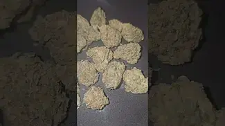 Mystery Mountain GMO MAC First Impressions UK Medical Flower
