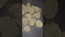 Eazypax420 Video Thumbnail