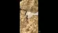 Video Thumbnail: Cannamacist
