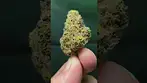 Alaskan Thunder medical prescription cannabis 29%T