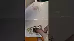 GRAPE GASOLINE | Vasco Trashco & Cuntourage | PRESS TEST