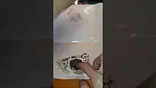 Smacksalad Video Thumbnail