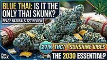 For The Buck Video Thumbnail
