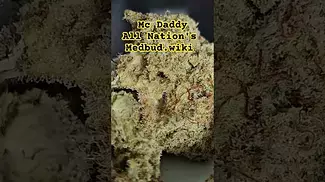 All Nation's MD Mac Daddy AzztecMedia Reviews #medbud #backpainrelief #anxiety #depression #reviews
