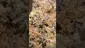 Video Thumbnail: High Jack