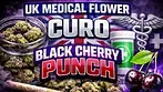 UK MEDICAL FLOWER | CURO | BLACK CHERRY PUNCH | T22 #ukmedicalcannabis #420community #uk #420 #cbpm
