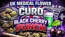 Cannabis Culture  Video Thumbnail